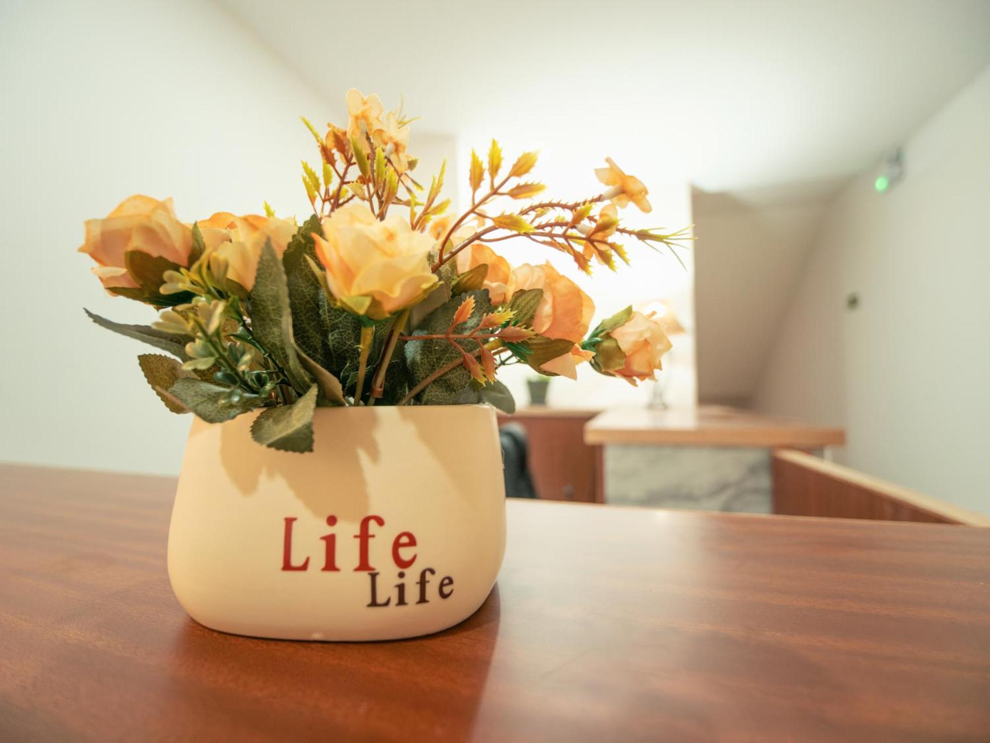 Residencial Liviamilena Santa Maria Apartment ภายนอก รูปภาพ